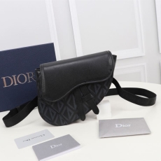 Christian Dior Waist Chest Packs